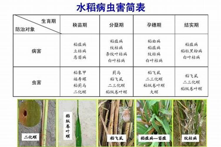 病害虫的防治方法，可采用物理、化学、生物防治等方法？