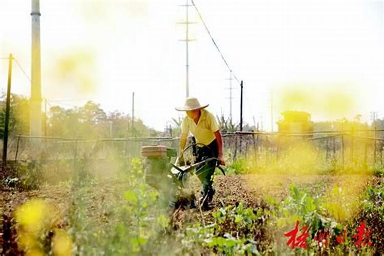 警惕田间地头的十大迷思：农药使用误区全解析