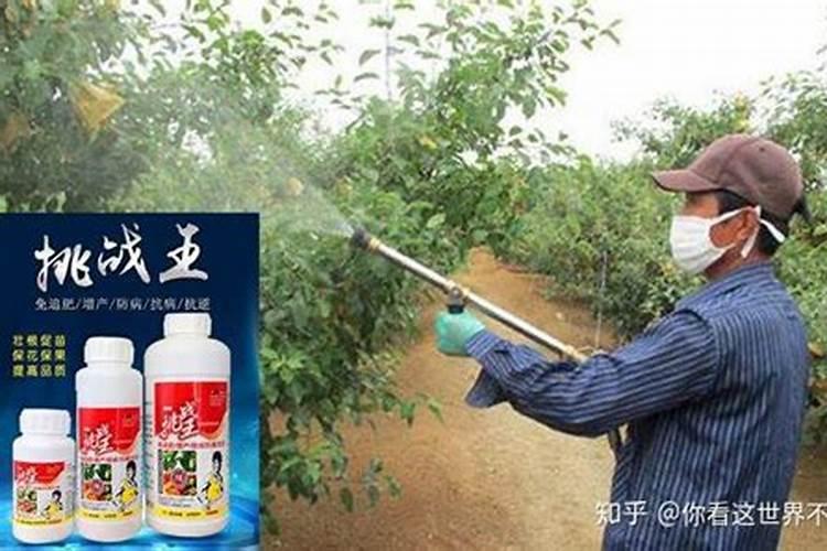 果树施肥误区有哪些？果树施肥方法怎么做？