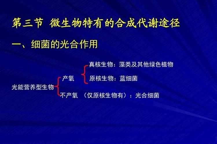 生物农药在生产实践中的注意事项