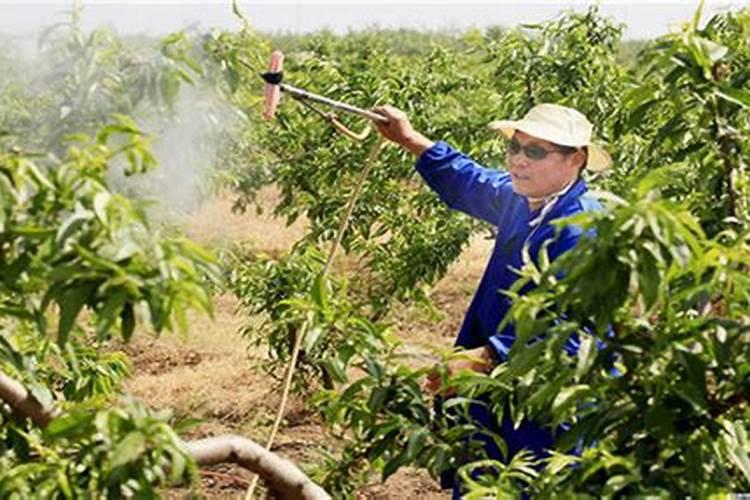 生物农药在生产实践中的注意事项