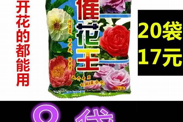 催花肥料使用方法，养花中的各种肥料该如何使用？