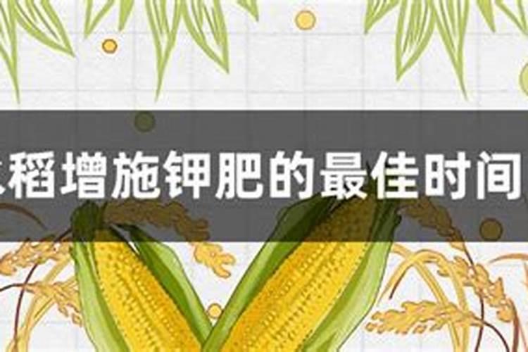 秋晚什么时间施钾肥最好？