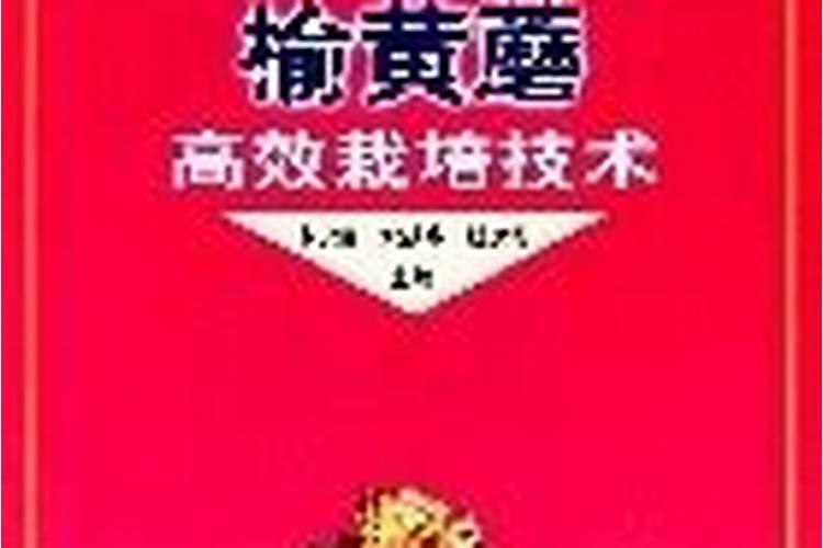 高效栽培榆黄蘑：掌握关键技巧，实现丰收梦想