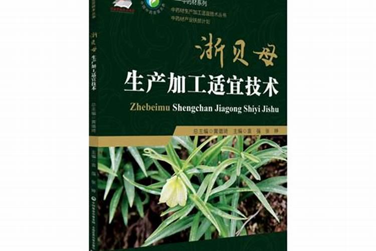 揭秘浙贝的规范化栽培技术：从种植到收获的全过程