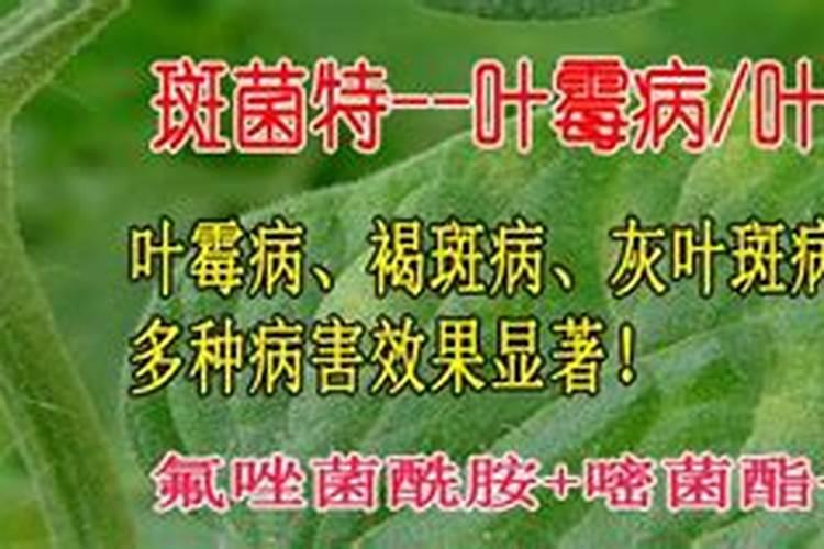 揭秘：如何科学鉴别农药的药效？