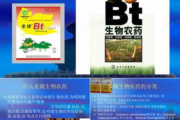 揭秘微生物农药：使用中的误区与正确做法