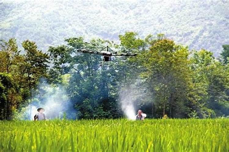 探秘生物农药的内吸性：绿色植保的未来