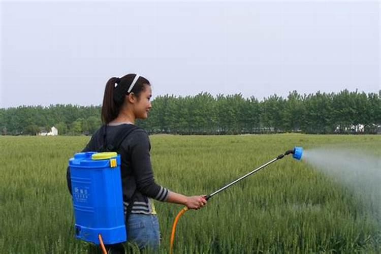 雨季农药使用的智慧：科学施药与技巧掌握