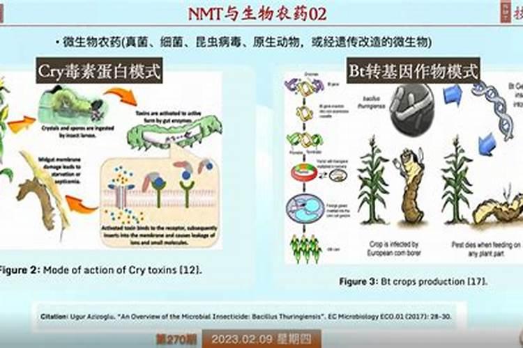 绿色守护：生物农药防治的科学与实践