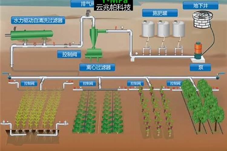 田野守护者的智慧：掌握农药的16种使用秘籍