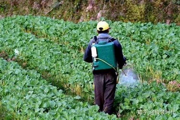 炎夏农事警惕：高温天喷施农药的必知要点