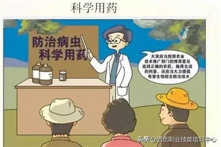 科学施药五项注意事项：确保用药安全与疗效的关键