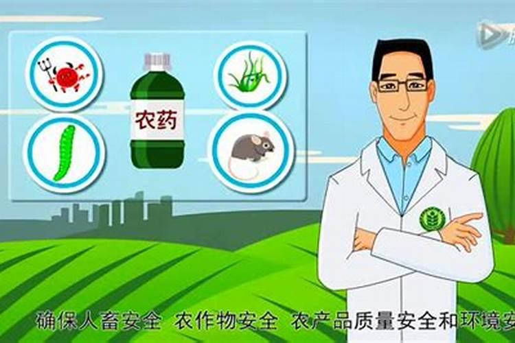 科学施药五项注意事项：确保用药安全与疗效的关键