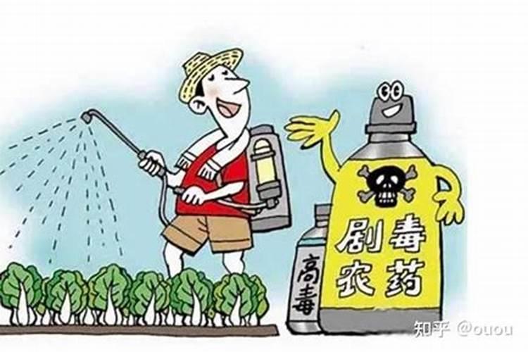 警惕绿野危机：应对农药中毒的紧急行动