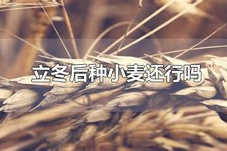 芸苔素拌大蒜的正确方法是什么？