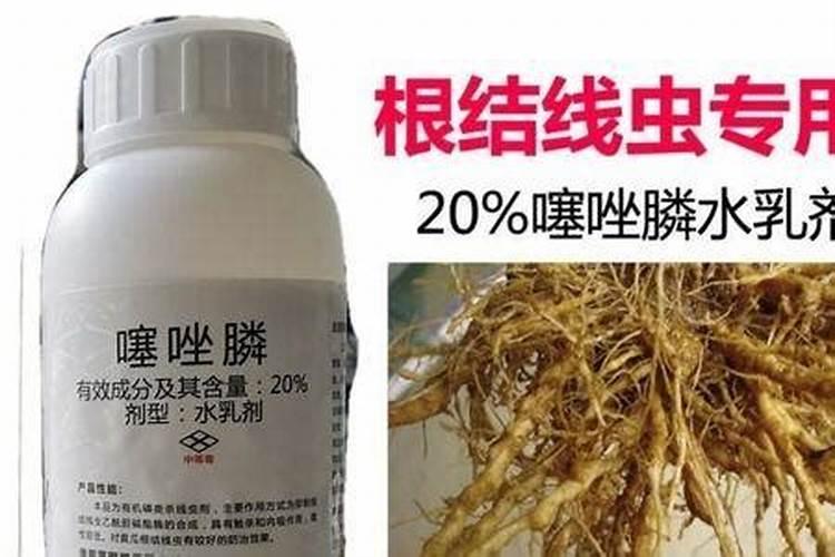 警惕隐患：噻唑膦灌根药害风险解析