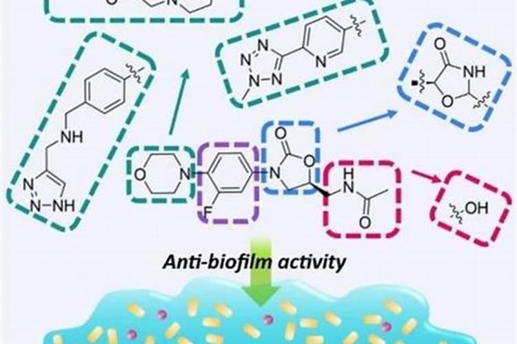 提升细菌农药效力的关键策略