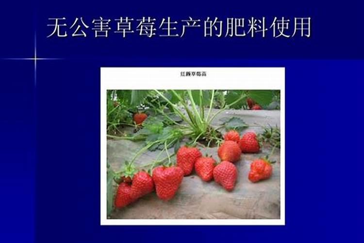 绿色守护：浅析几种无公害农药的使用方法？