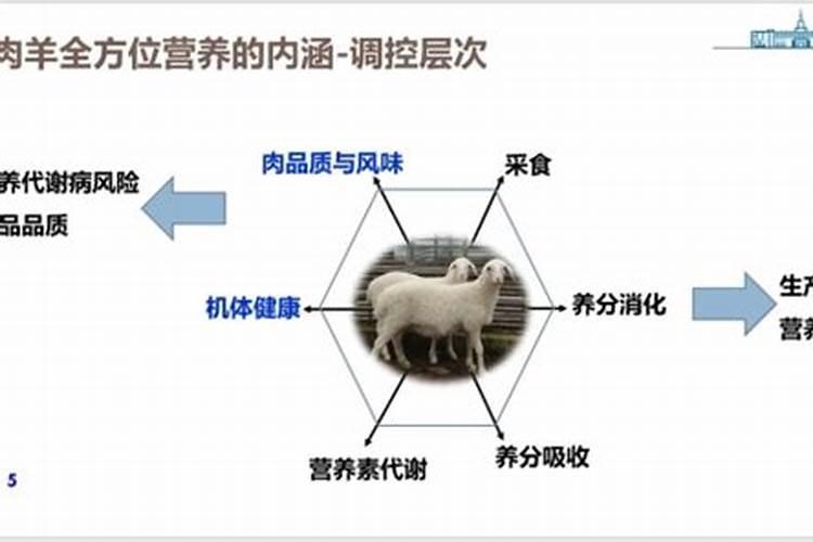 冬季守护：五大策略保护药材免受严寒侵害