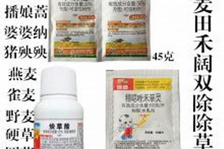 甘蔗田里的守护者：磺草灵的正确使用手册