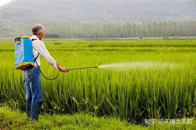 绿色食品中的农药使用之道