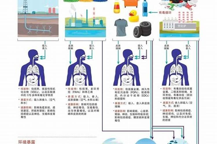 水之泪：滴滴涕对河流的无声危害