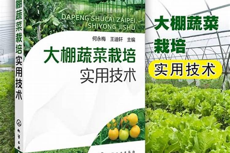 守护绿茵：棚菜土传病害与防治技术全解析