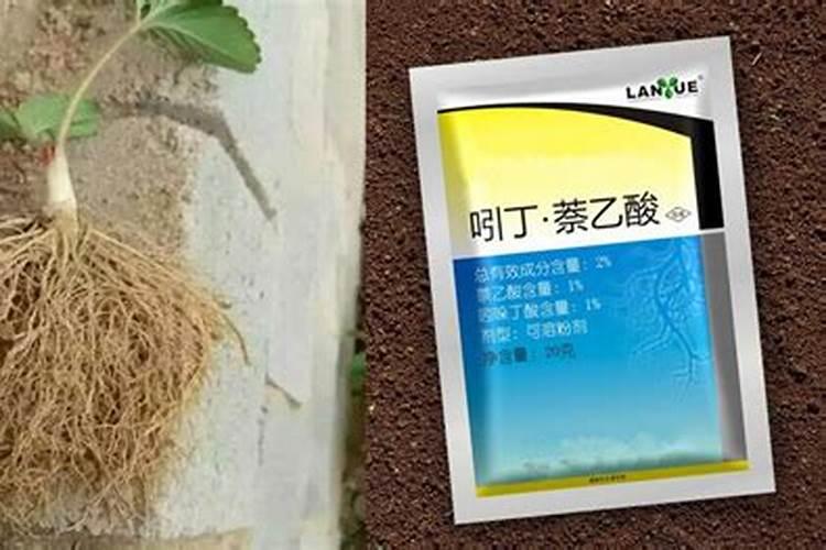 生根肥什么季节用最好用？