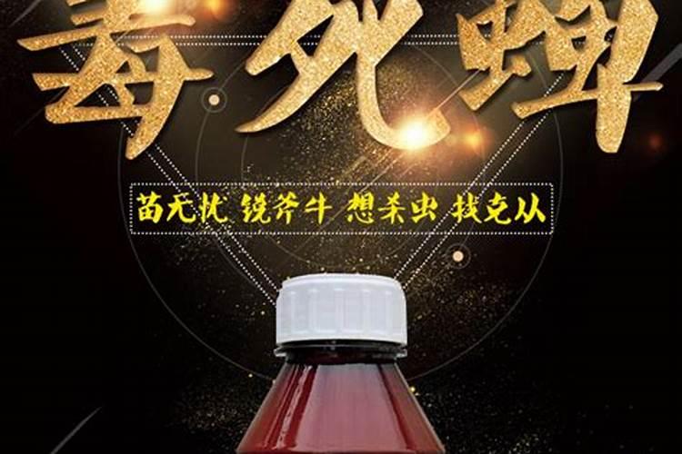 茄子红蜘蛛怎么办？茄子红蜘蛛防治技巧