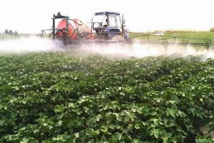 守护棉花田：综合防治技术驱除害虫