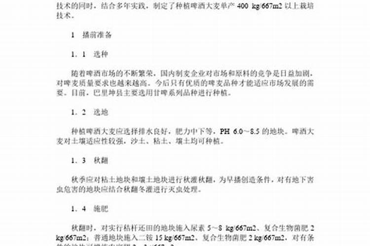 啤酒大麦优质高产栽培播种技术揭秘