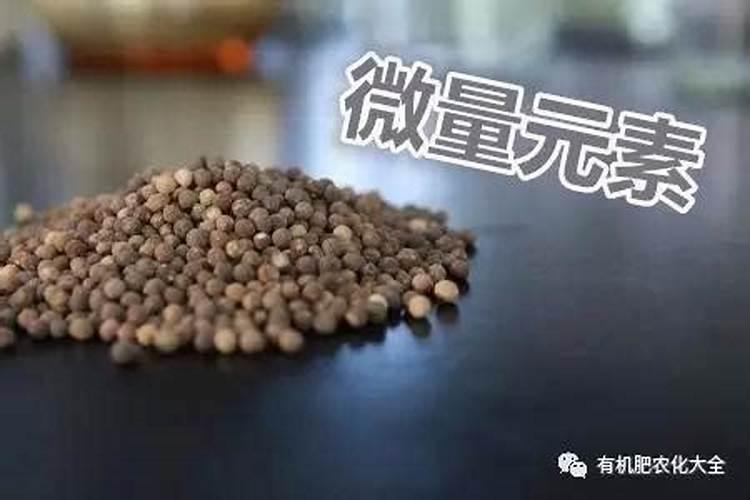 揭秘微量元素肥料在果树栽培中的关键角色