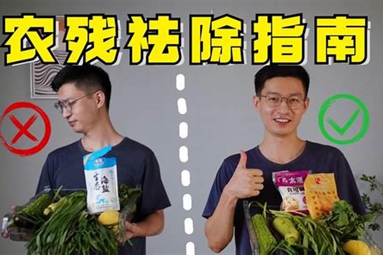 暑期板栗农药管理技巧：确保健康与产量