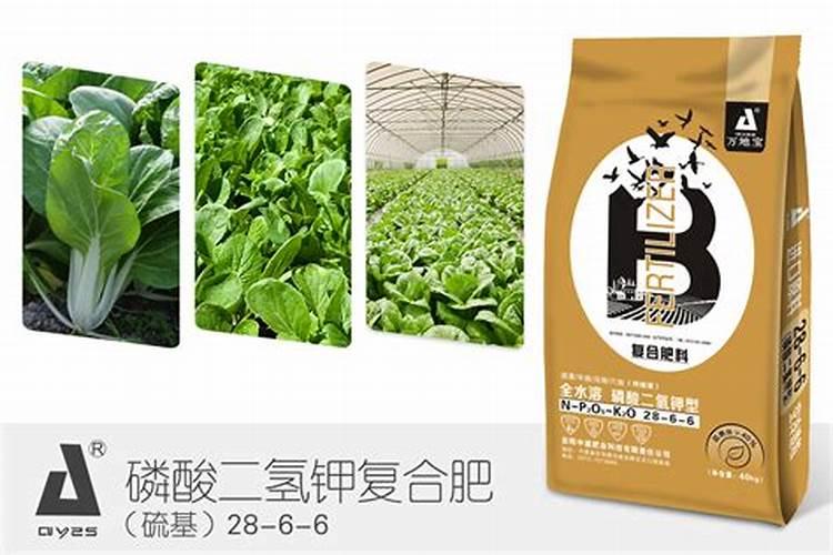 油菜缓释肥的效果？