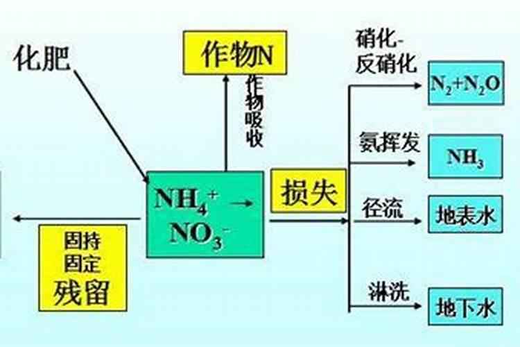 植物吸收的氮肥形态有哪几种类型？