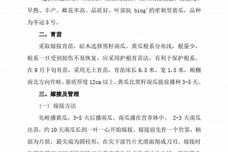 绿意盎然：黄瓜高效栽培技术揭秘