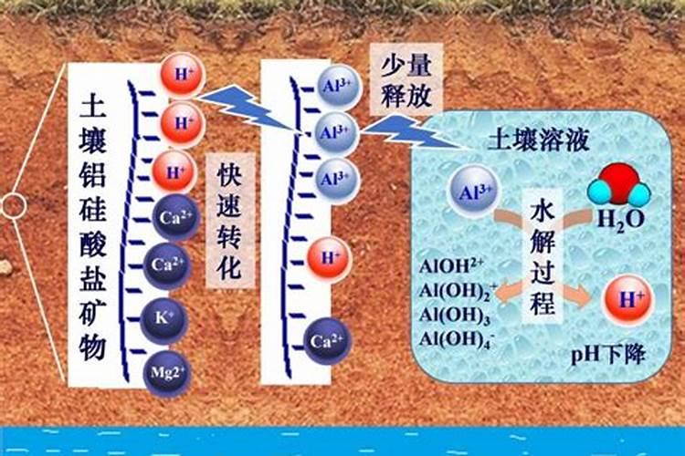 土壤酸化的原因,附改良措施