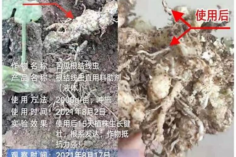 浏阳霉素是种什么样的杀虫剂？