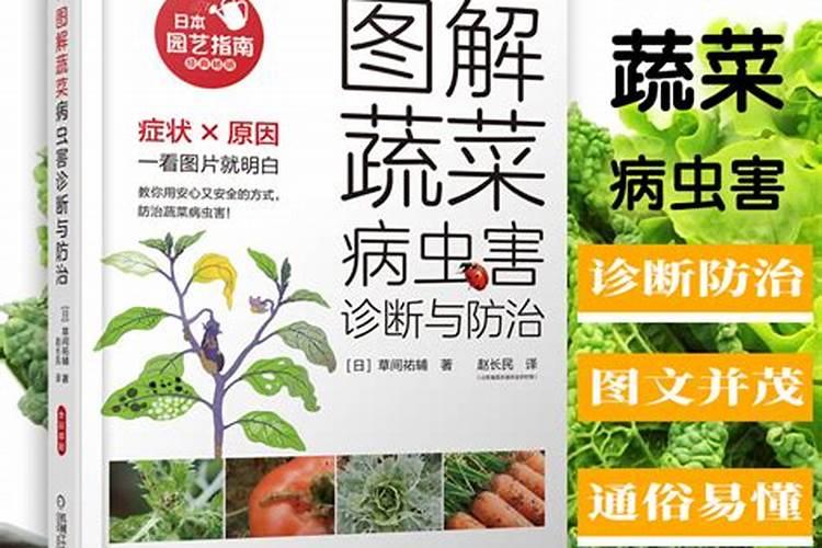 蘑菇病虫害防治：合理选用农药的策略