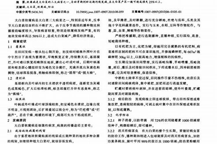 绿色守护：大白菜病害的无公害防控技术解析