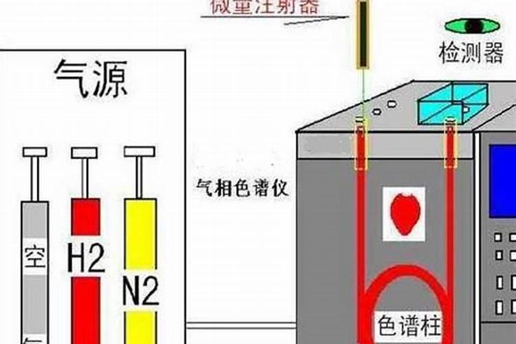 气相色谱中尾吹气,吹扫捕集,隔垫吹扫这些词的意思？