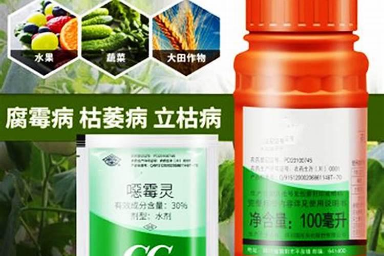 乙酸铜农药：植物病害的绿色盾牌