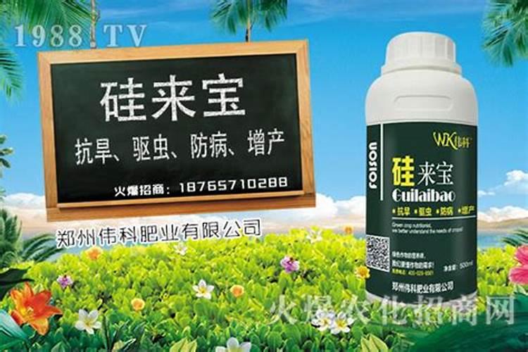 我国施用的硅肥有哪些品种？施用过多有哪些危害？