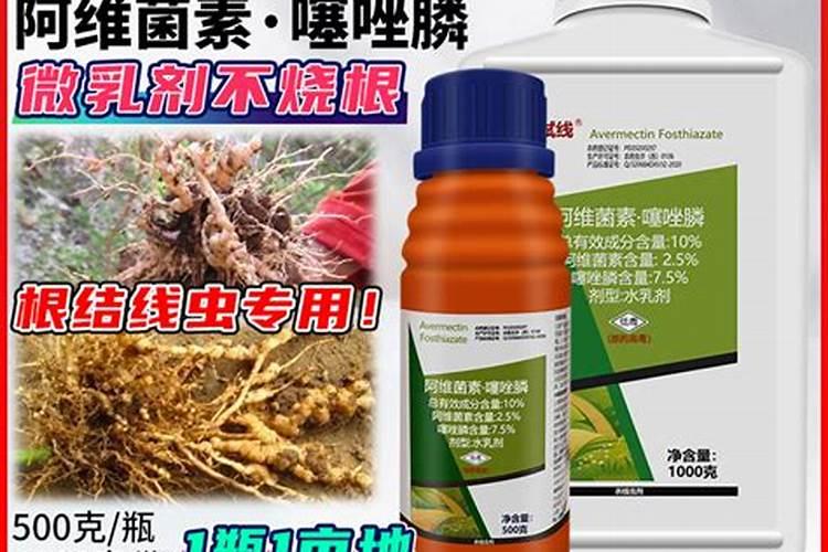 老师请问根线虫阿维菌素和噻唑