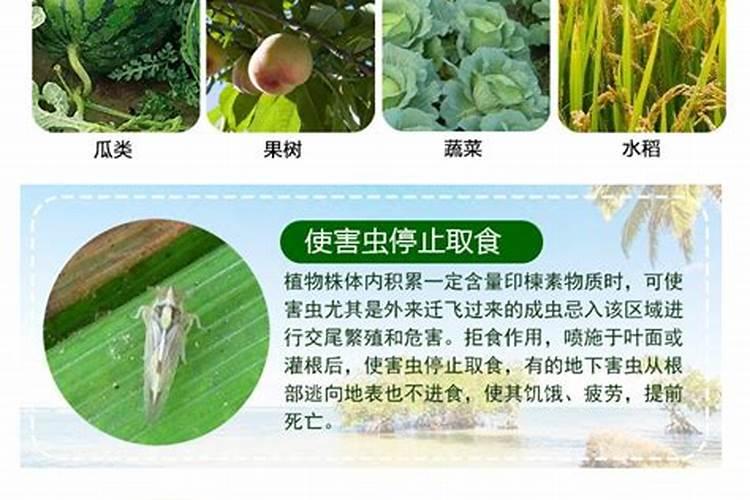 什么是生物农药