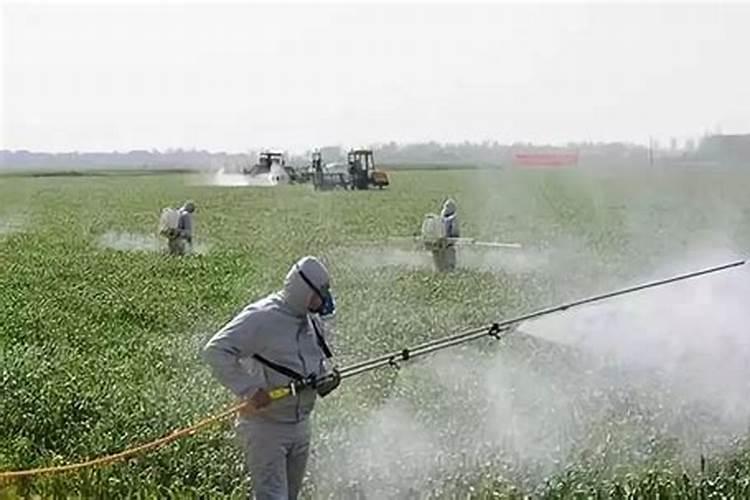 雨天喷施农药技术：农业保护的新篇章