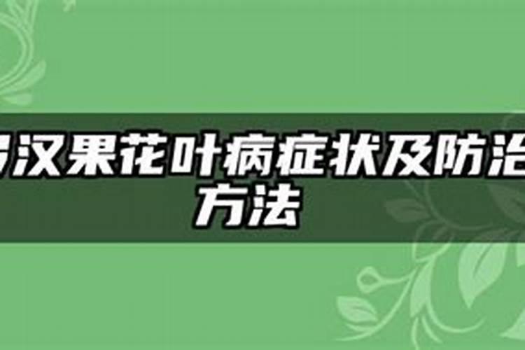 罗汉果发生严重花叶病，什么药防治效果好？