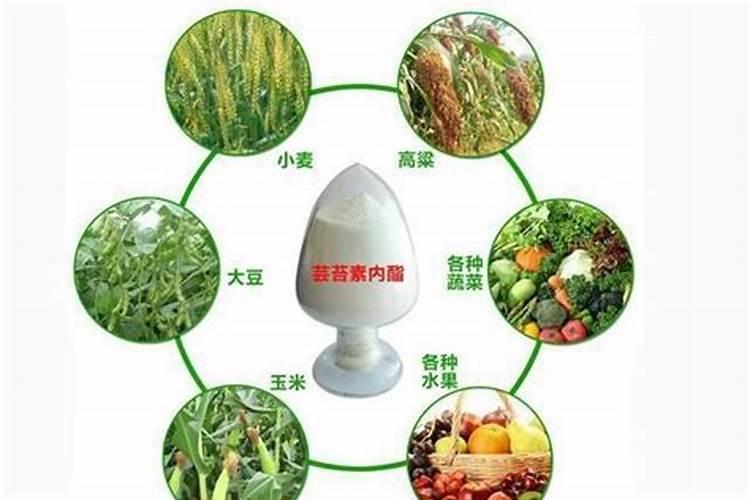 大豆使用芸苔素内酯的用途技术以及注意事项时什么？