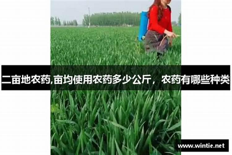 亩均使用农药多少公斤,农药有哪些种类